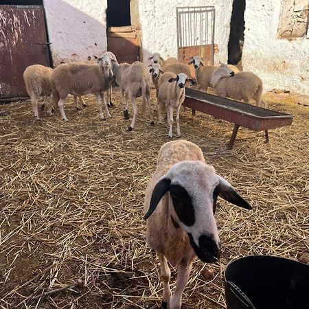 Khaima Oulad Abbou Zewnętrze zdjęcie