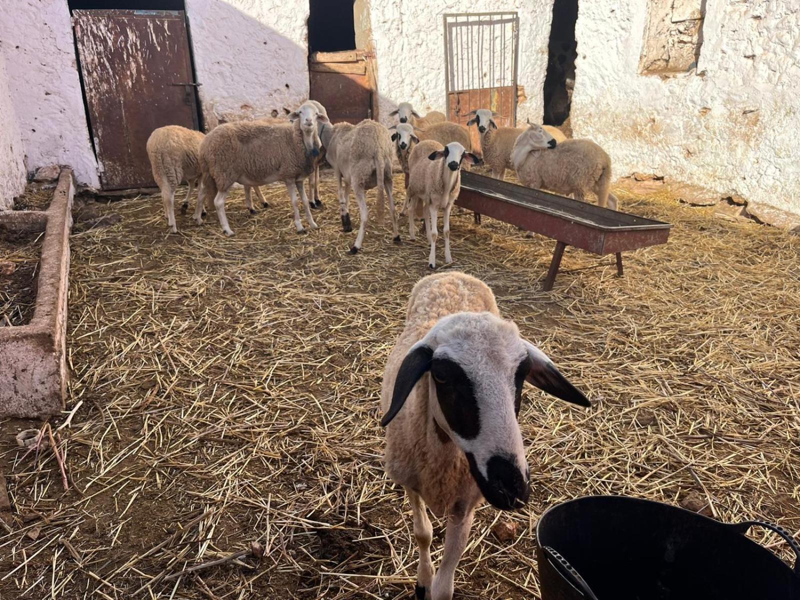 Khaima Oulad Abbou Zewnętrze zdjęcie